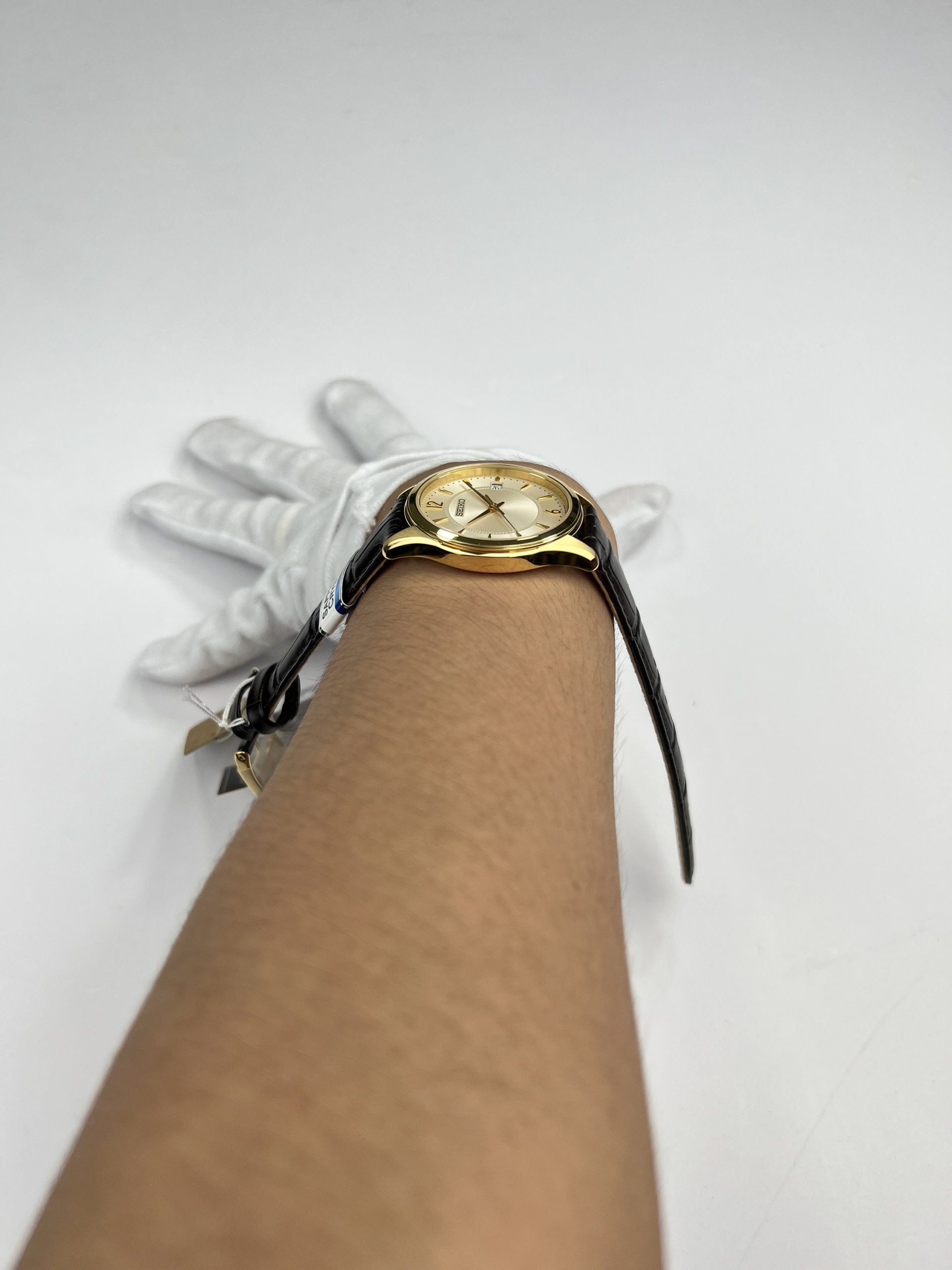 5-036cd06c-fdcf-40a0-a5a0-bd173bddaf04