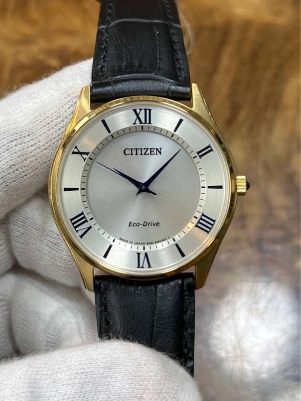 Citizen e031 eco discount drive