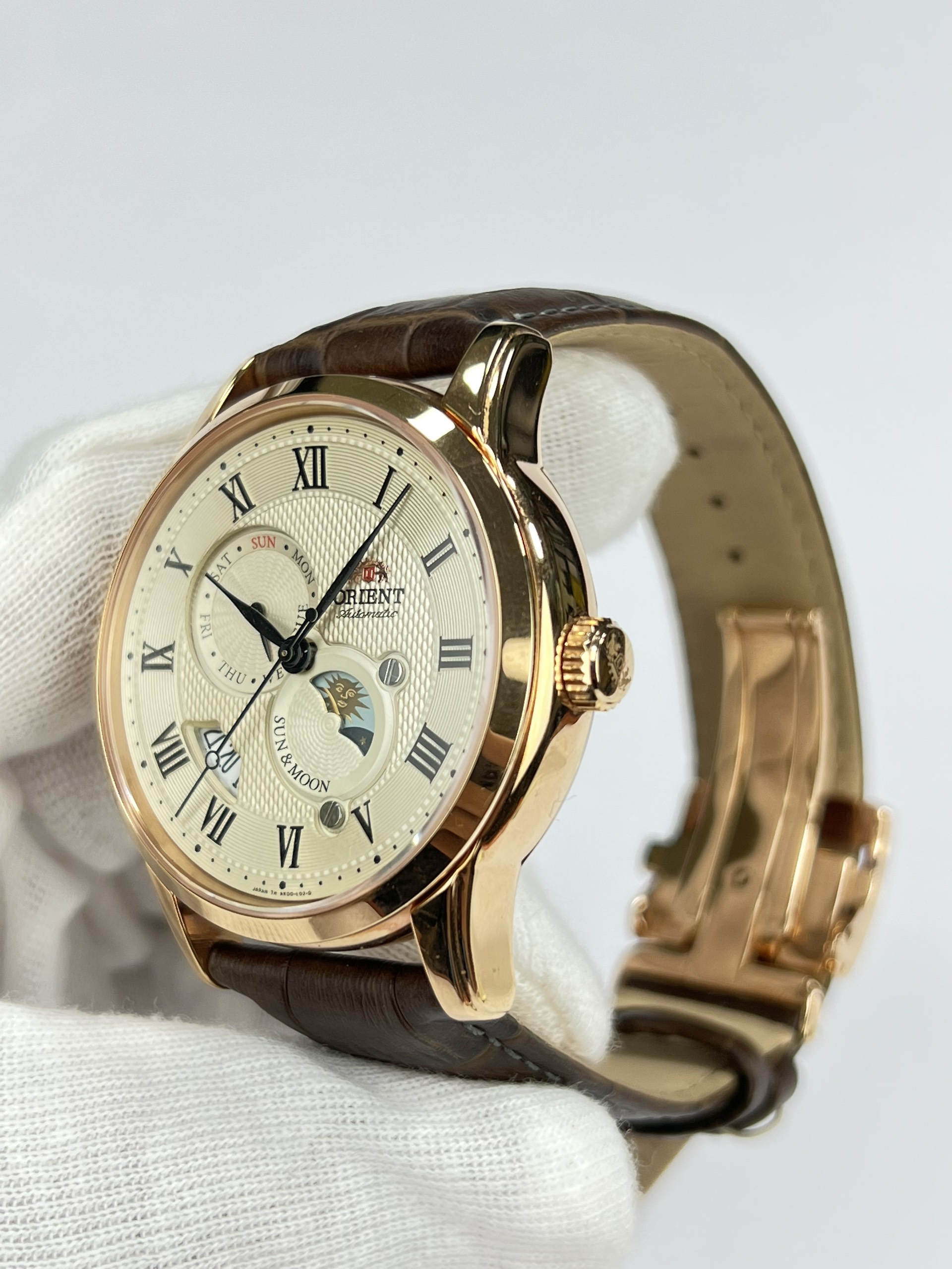 z3773395574431-5a6fcf651613505ab32eaf771b53e1cb